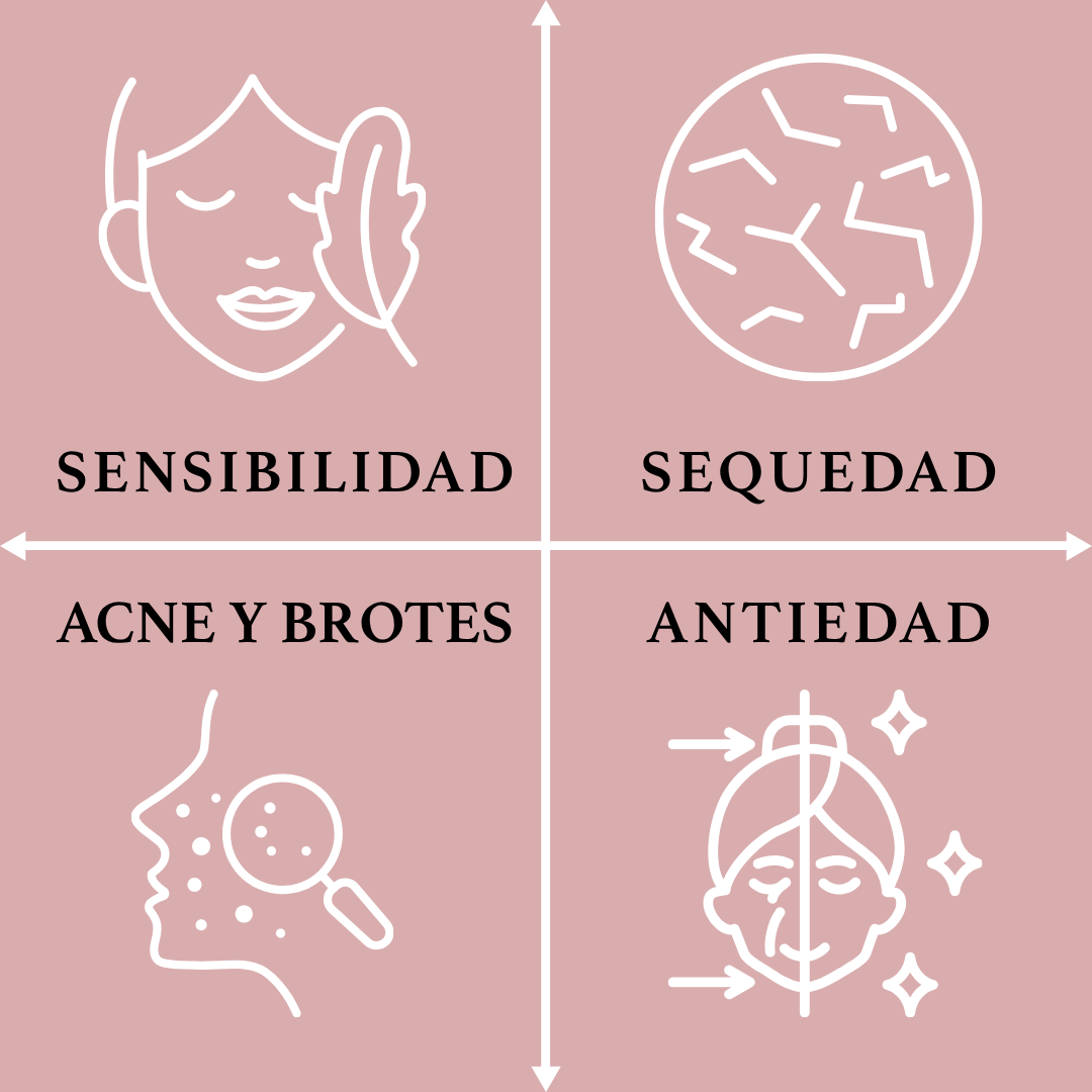 NECESIDADES DE LA PIEL