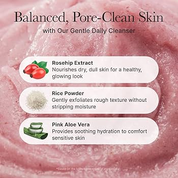 ARENCIA Fresh Rosehip Rice Mochi Cleanser 120g