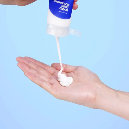 INSTREE Hyaluronic Acid Moist Cream 100ml