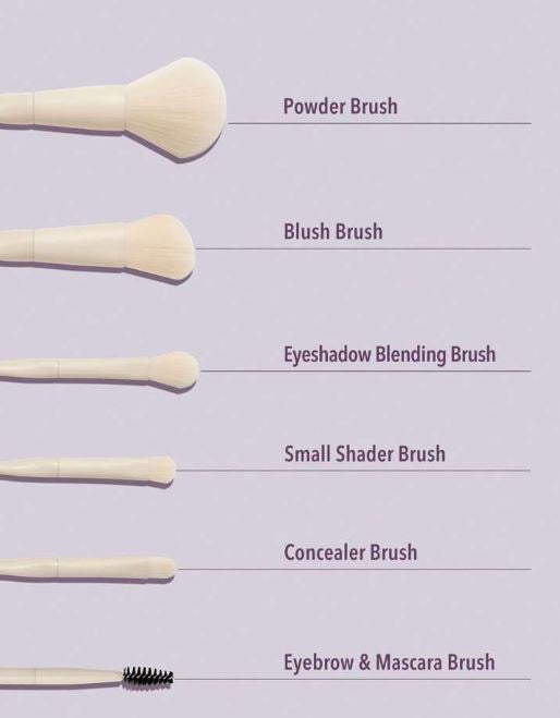 Sheglam Pro Core Brush Kit 6pcs